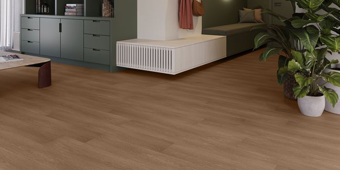 Velvet Oak