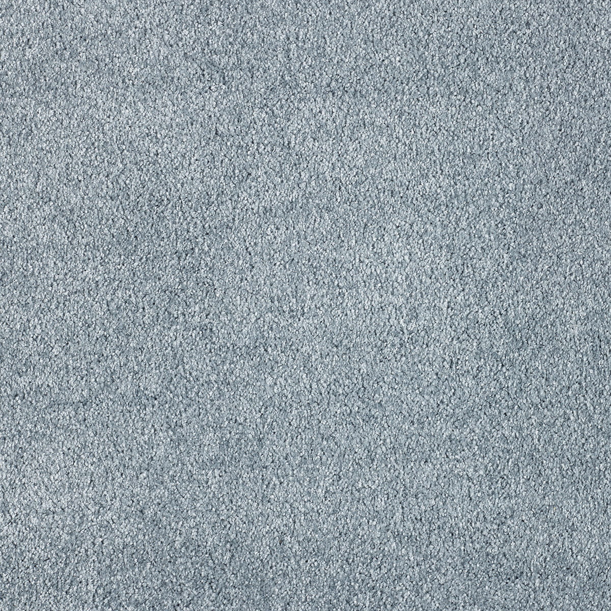 Galatea 70 macro shot