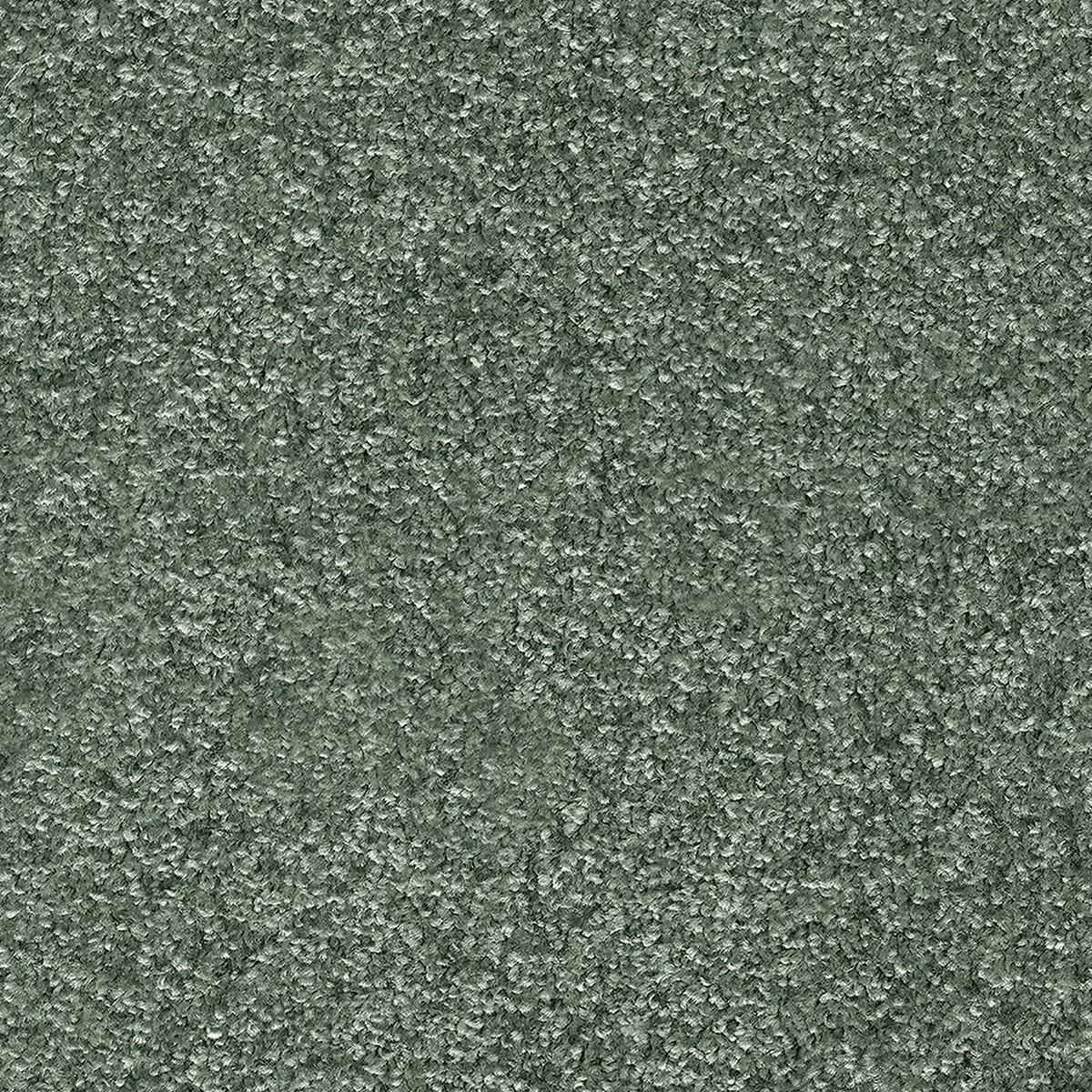 Indus 30