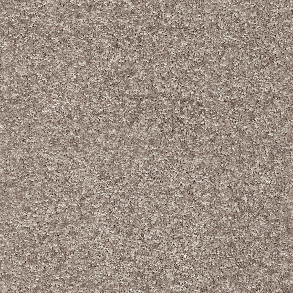 Indus 30