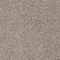 Indus 49