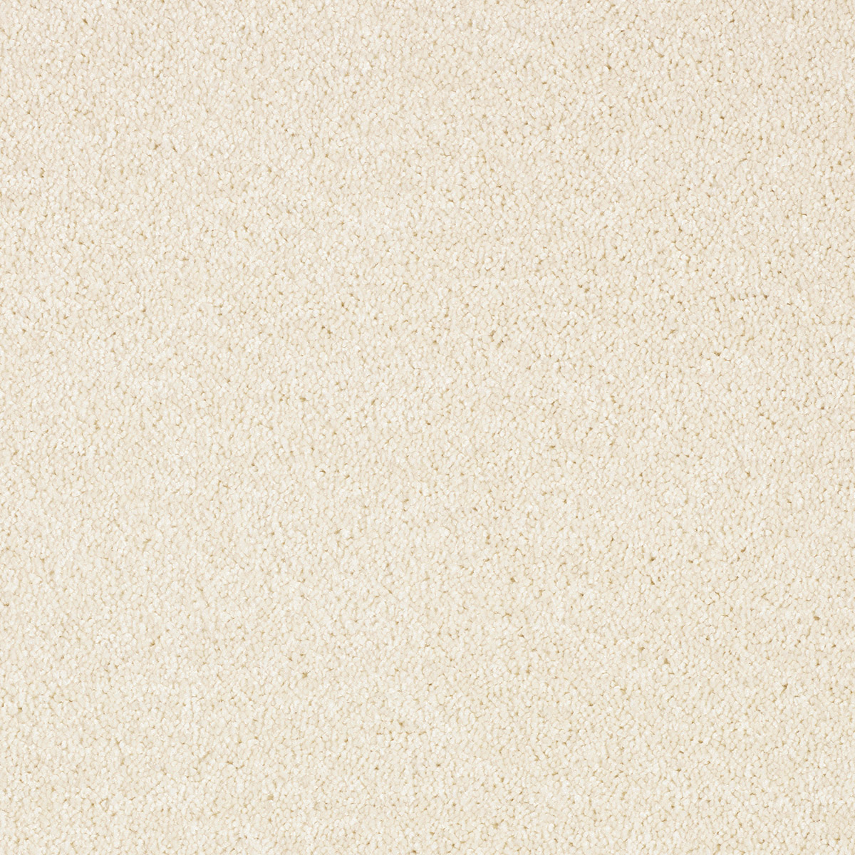 Liris 24