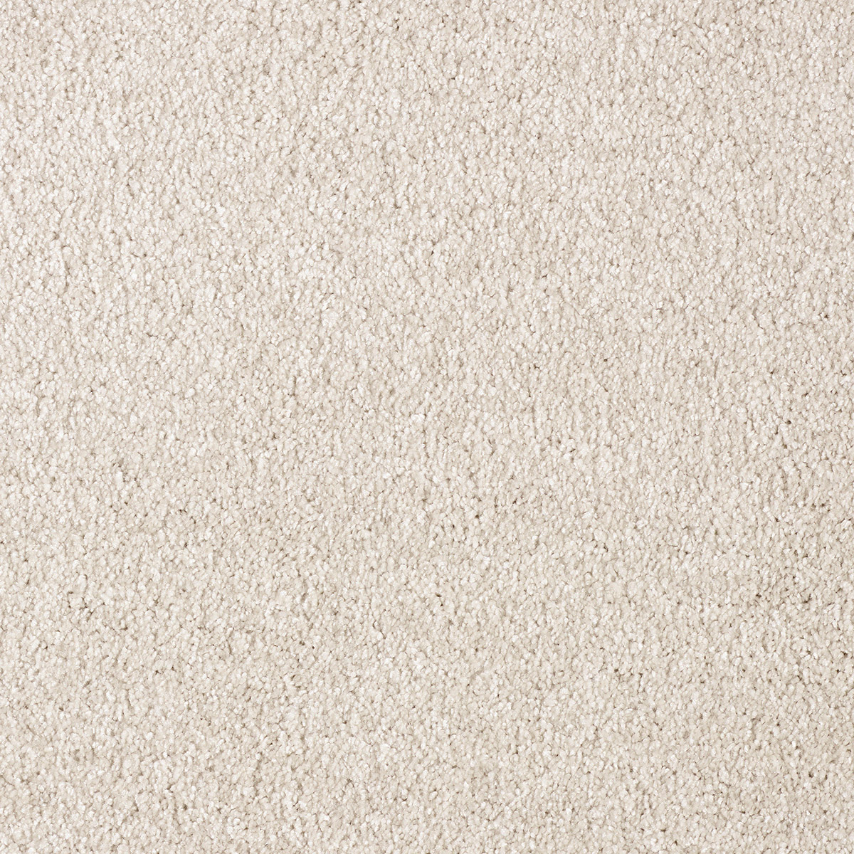 Liris 24