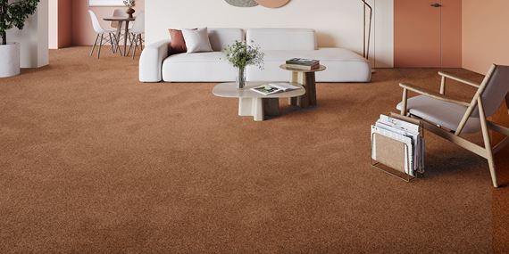 Invictus - Liris 84 - Roomshot