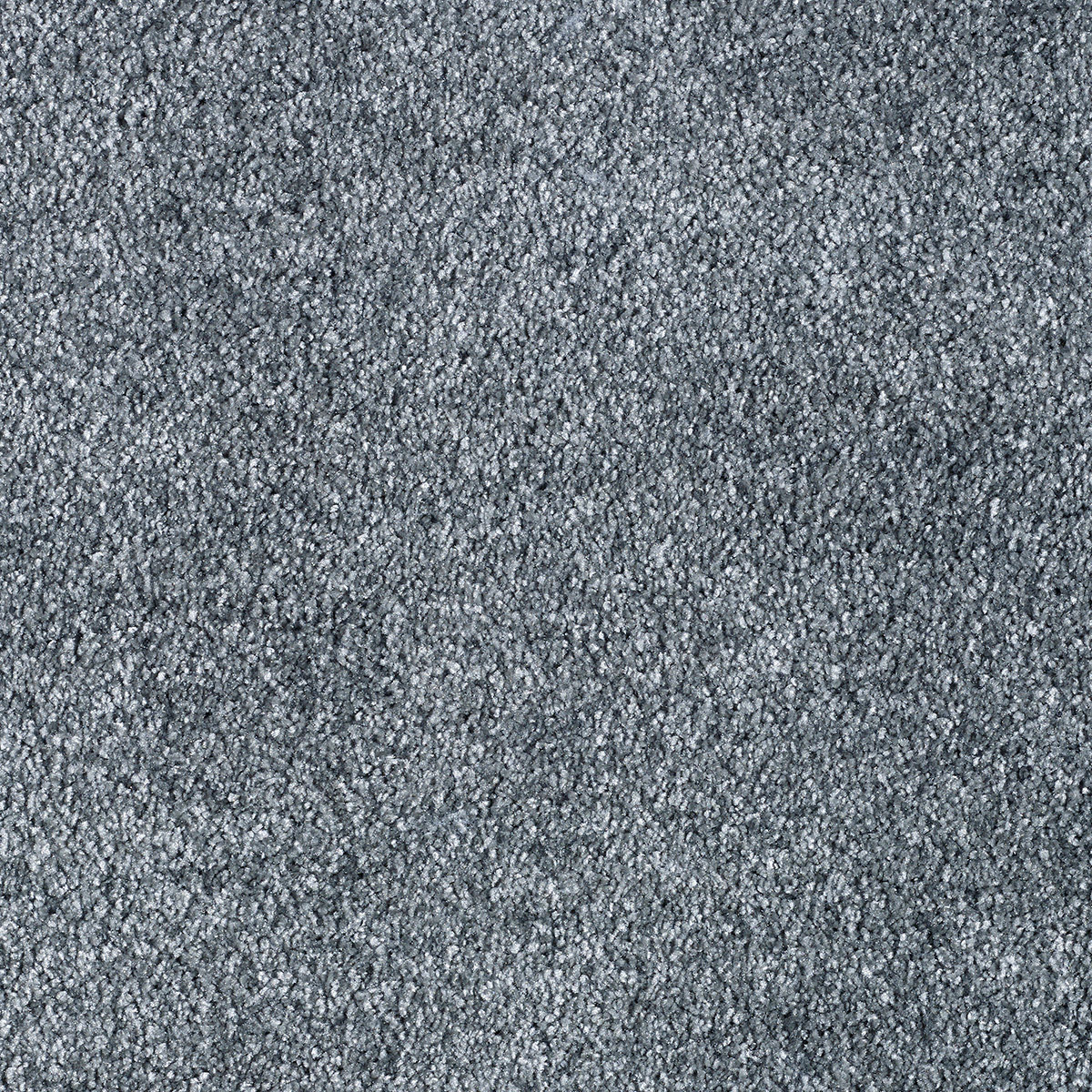 Liris 24