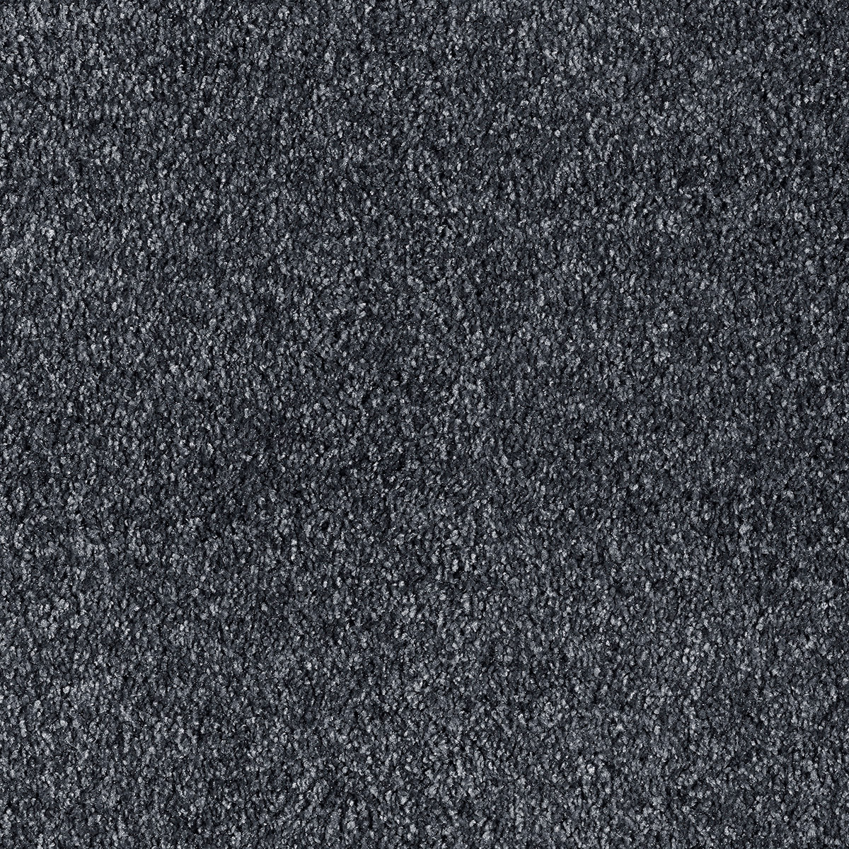 Liris 24