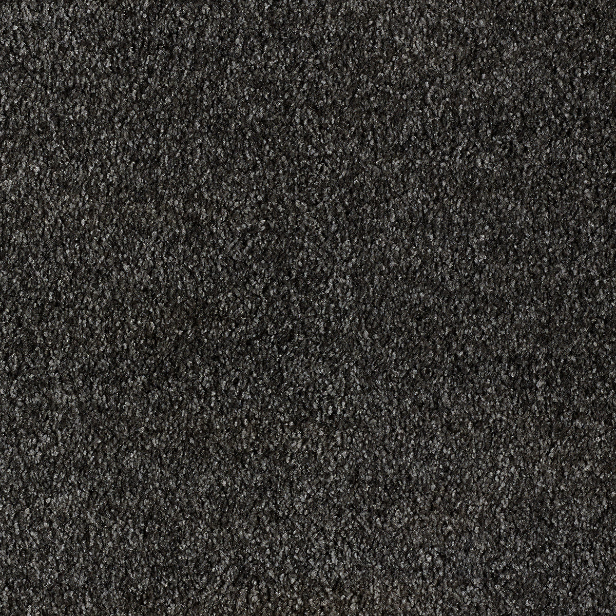 Liris 24