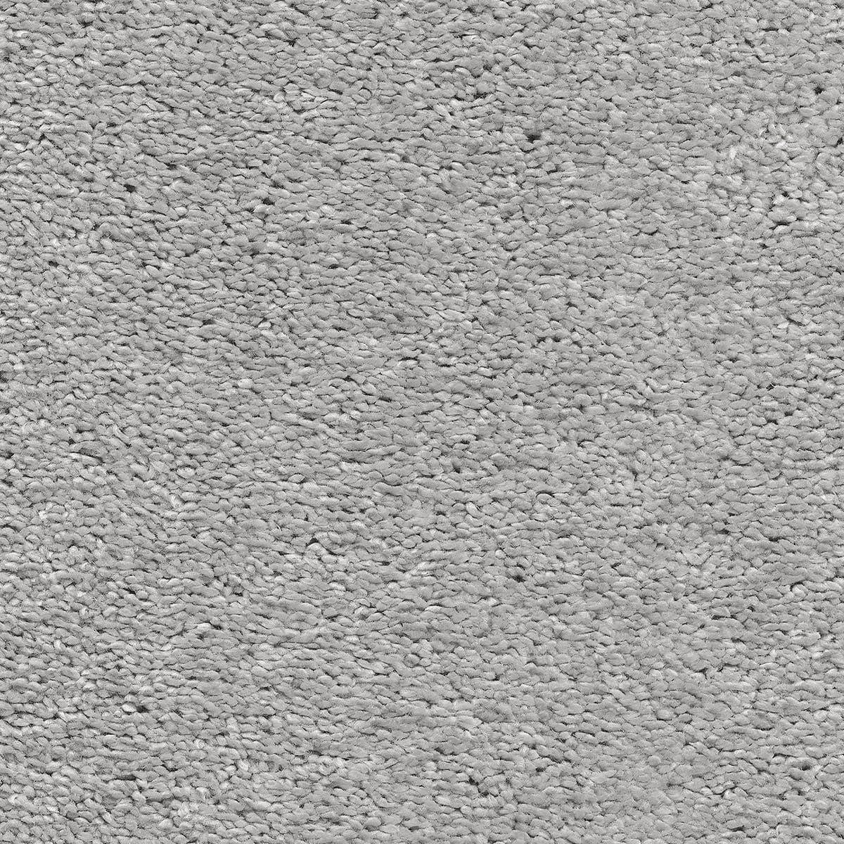 Magnificus 90 macro shot