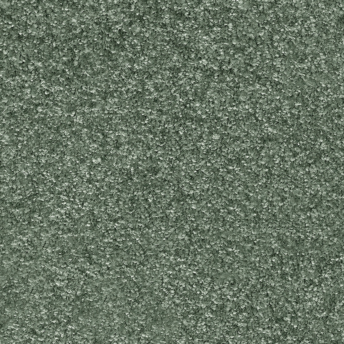 Numicus 30