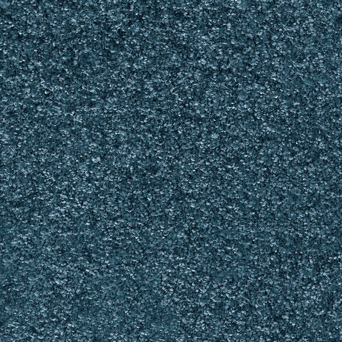 Numicus 77 macro shot