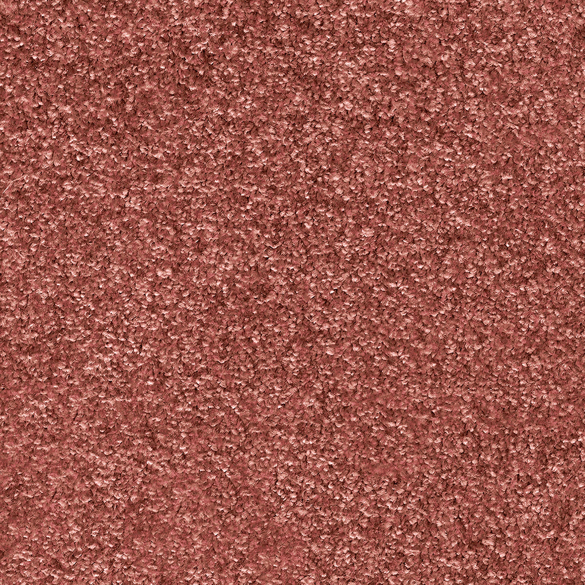 Numicus 30