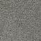 Numicus 95