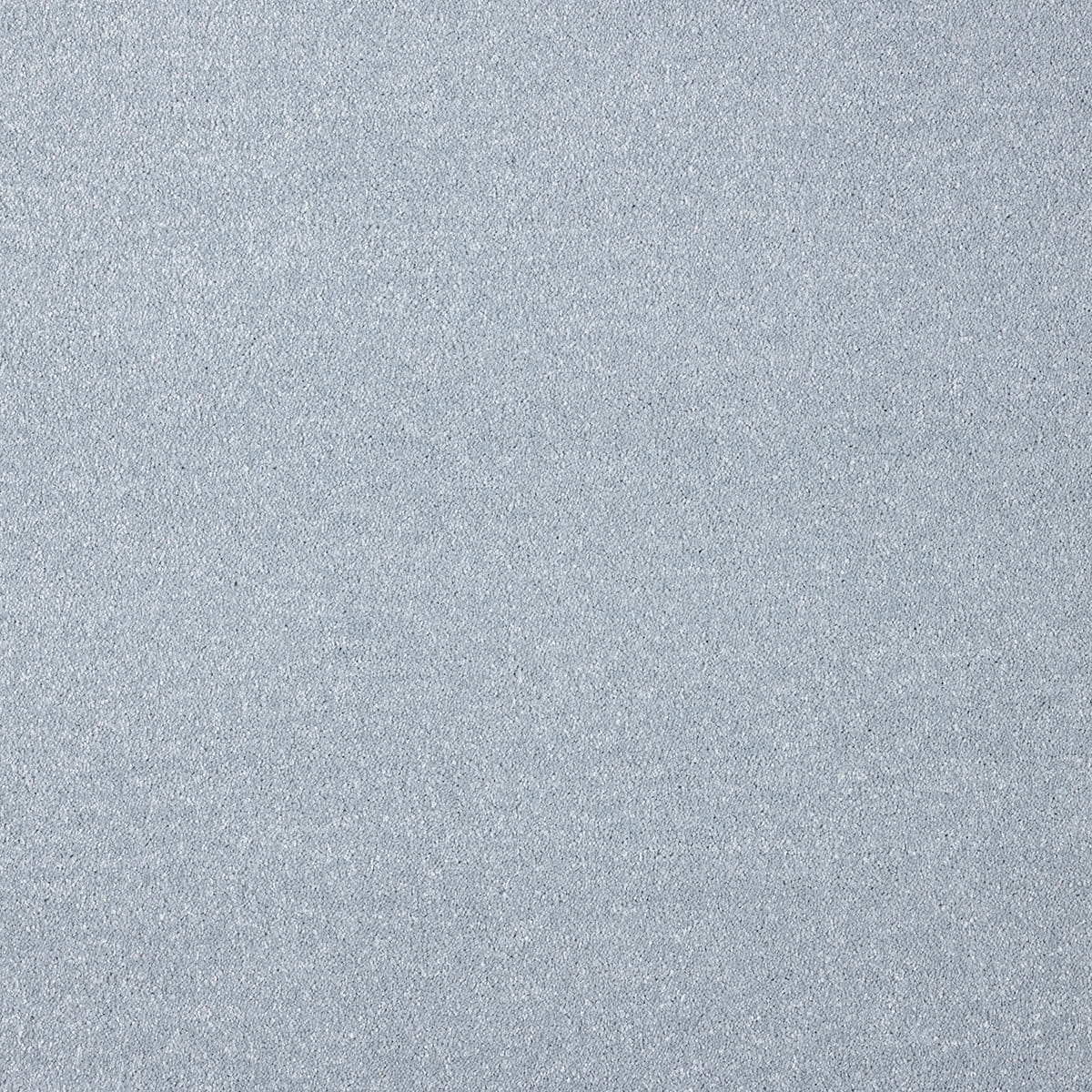 Pontus 70 macro shot