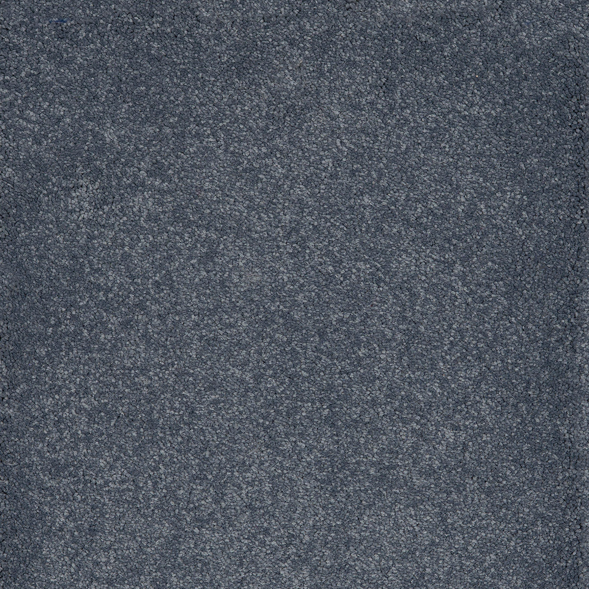Taurus 09