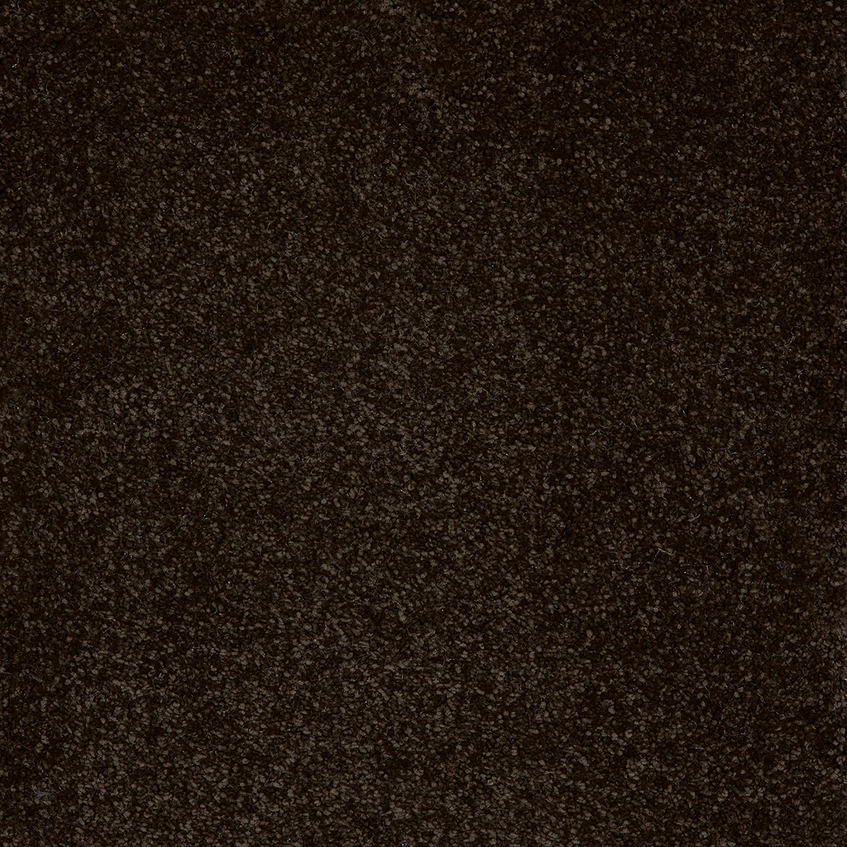 Taurus 09