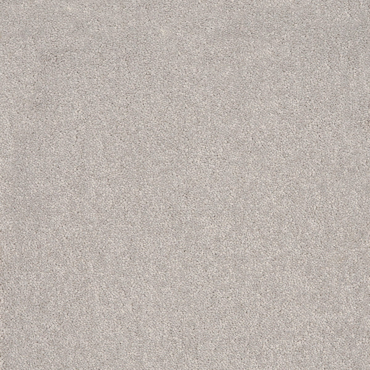 Gemini 90 macro shot