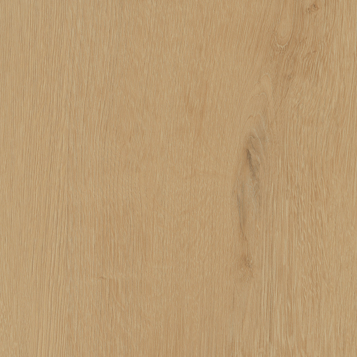 Belrose Oak - Truffle