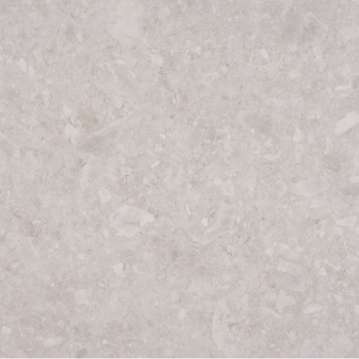 Cosmopolitan - Seashore macro shot