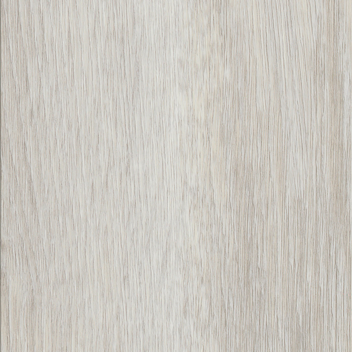 French Oak - Polar macro shot