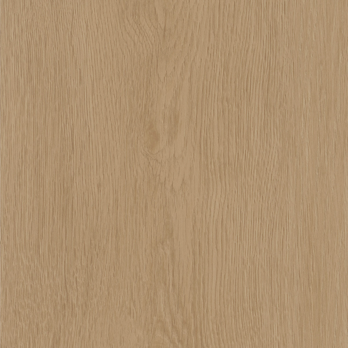 Regency Oak - Bagel