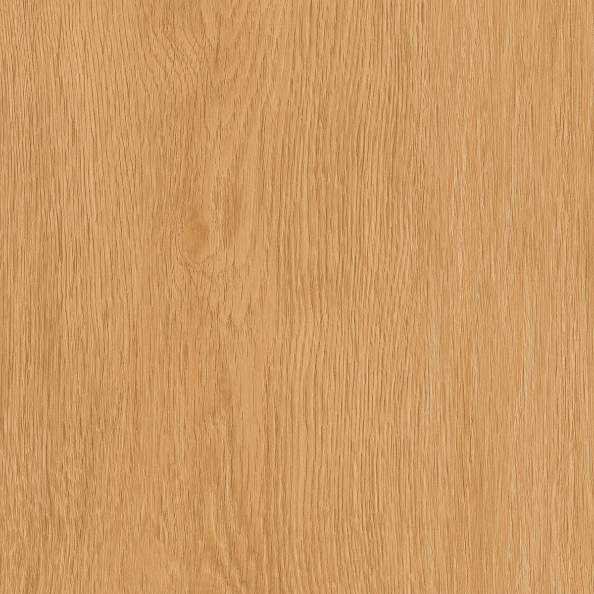 Regency Oak - Bagel macro shot