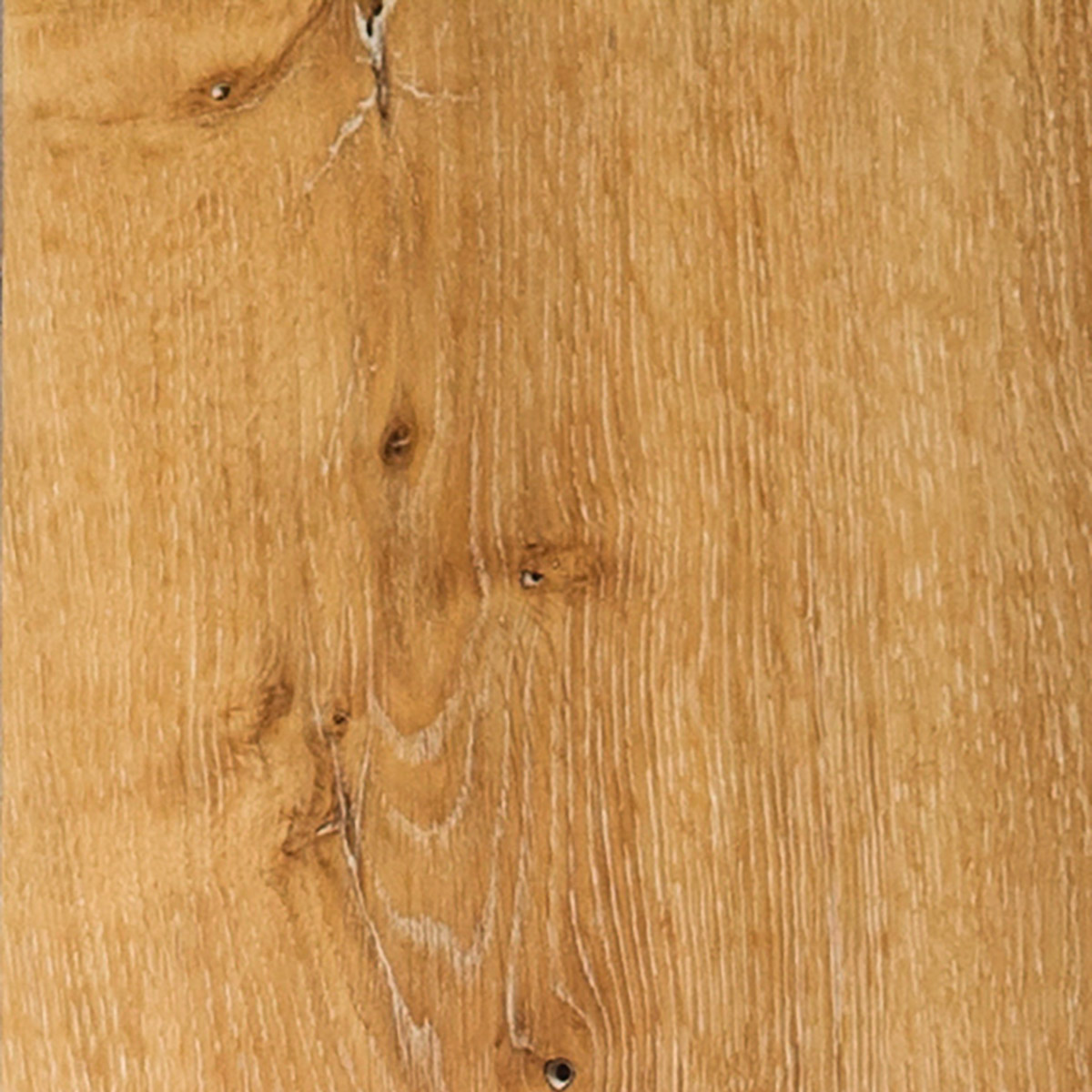 Riverside Oak - Sunset macro shot