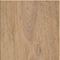 Silk Oak - Oat