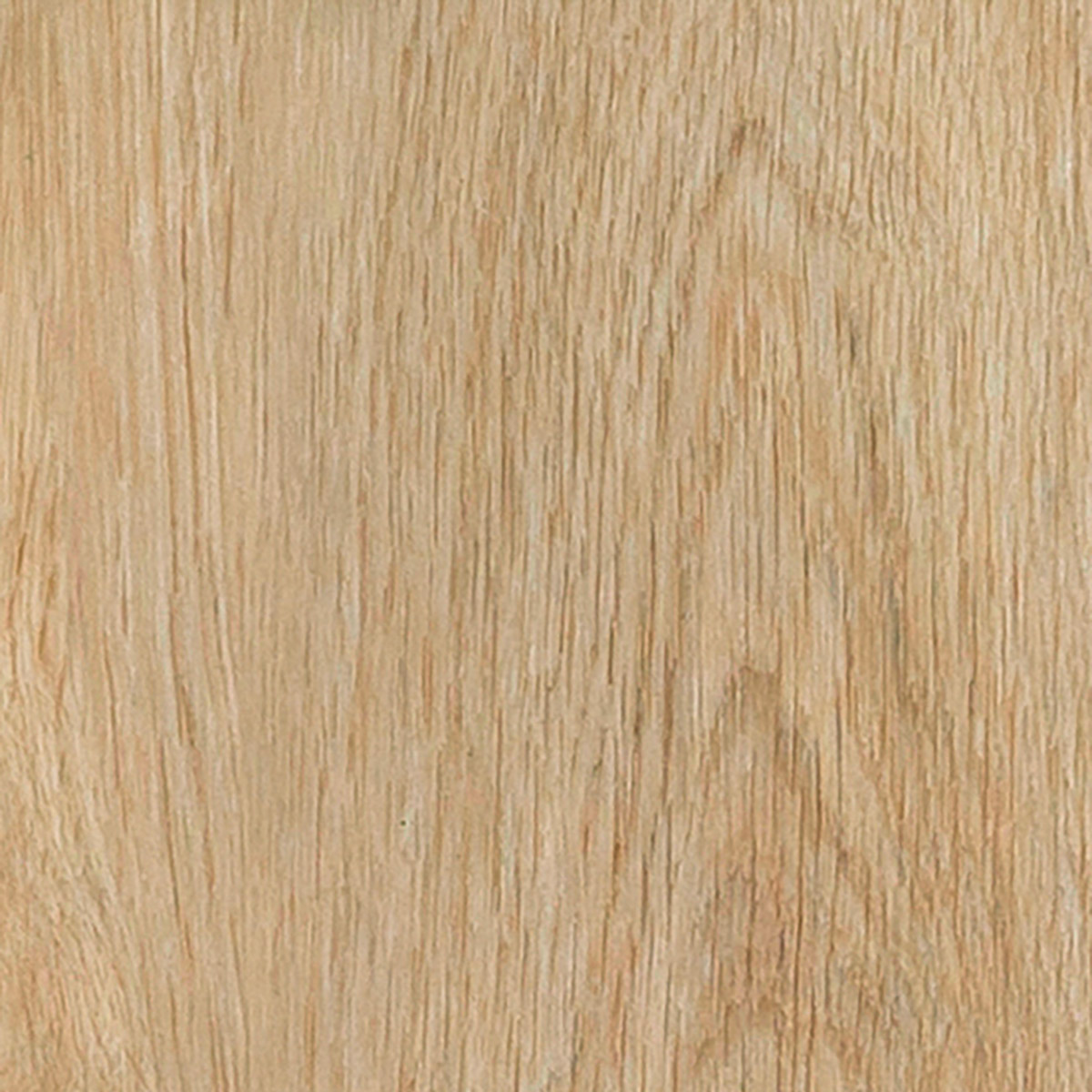 Velvet Oak - Grace