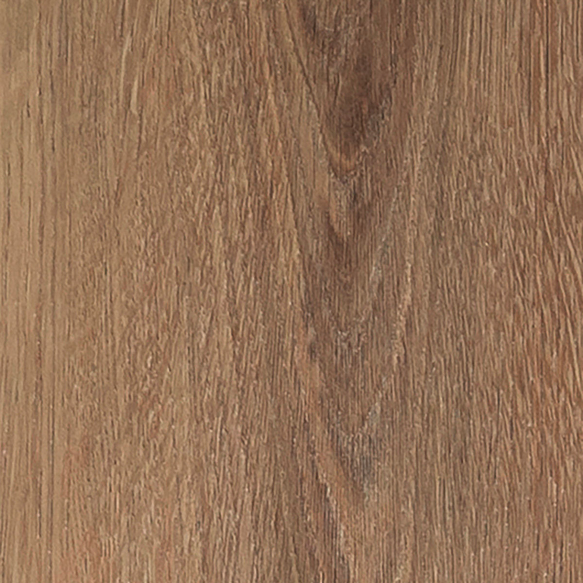 Velvet Oak - Grace macro shot