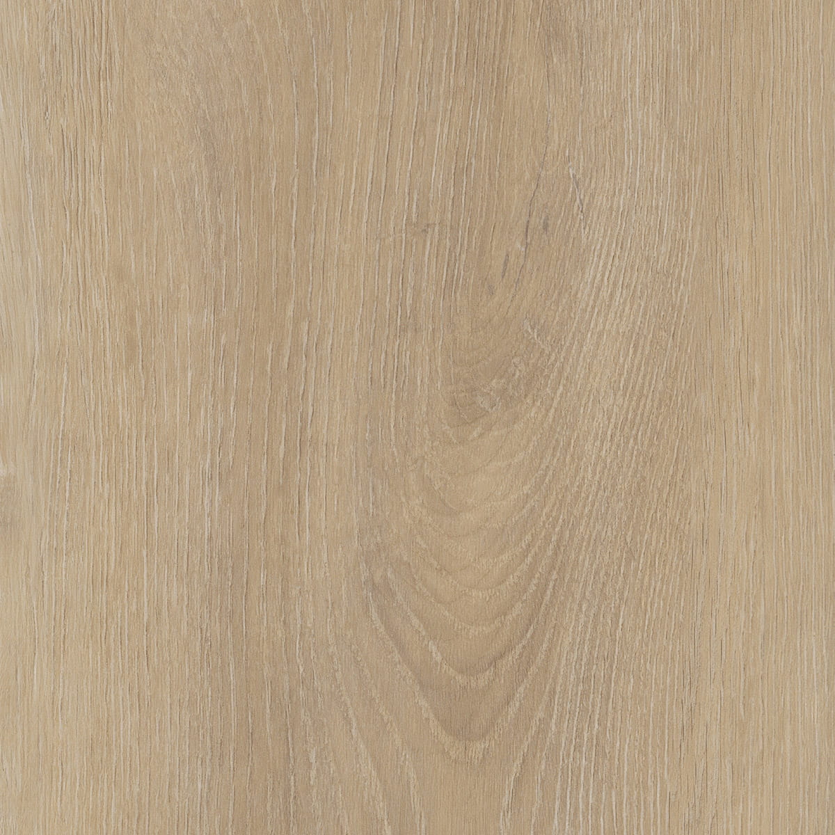 Divine Oak - Champagne macro shot