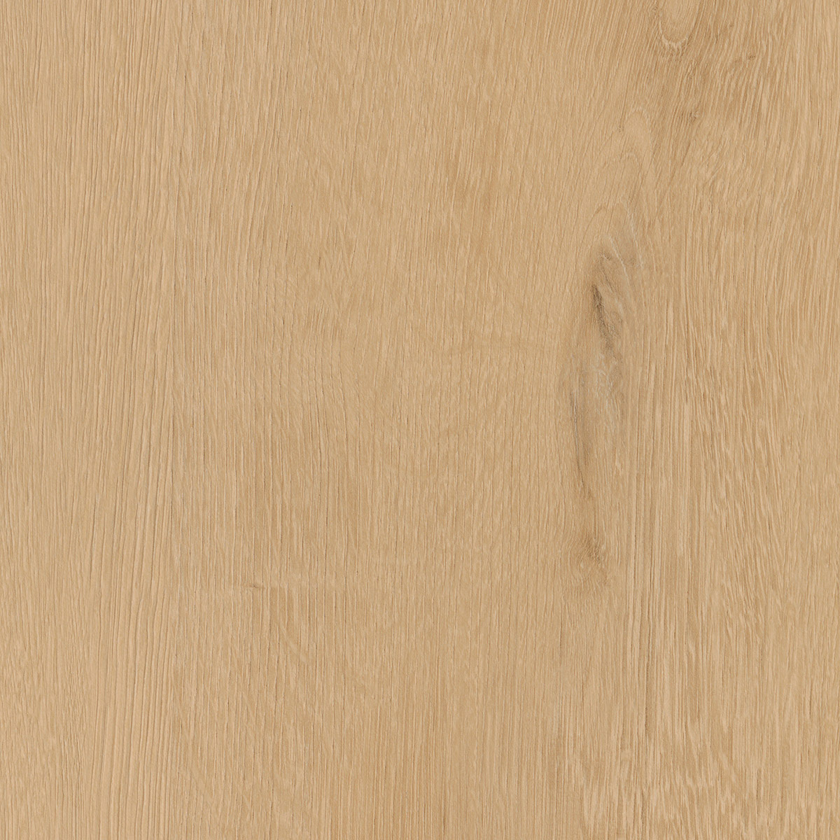 Belrose Oak - Sesame