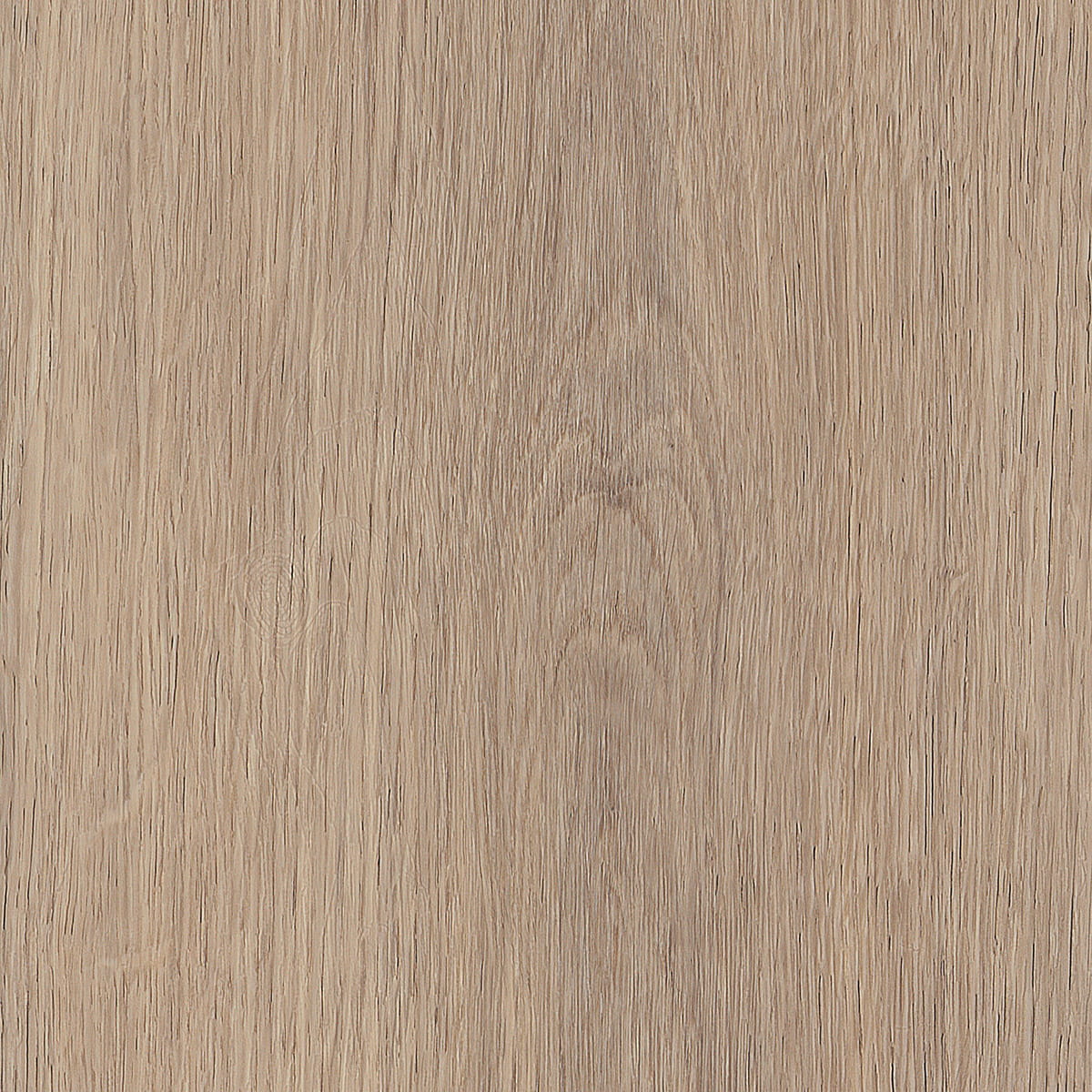 Cashmere Oak - Beach macro shot