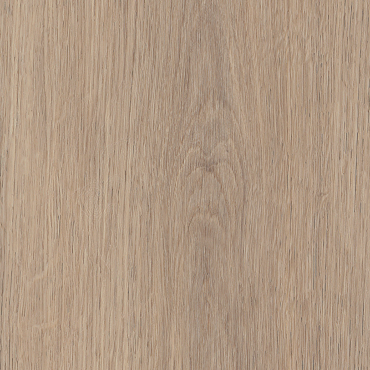 Cashmere Oak - Sunny