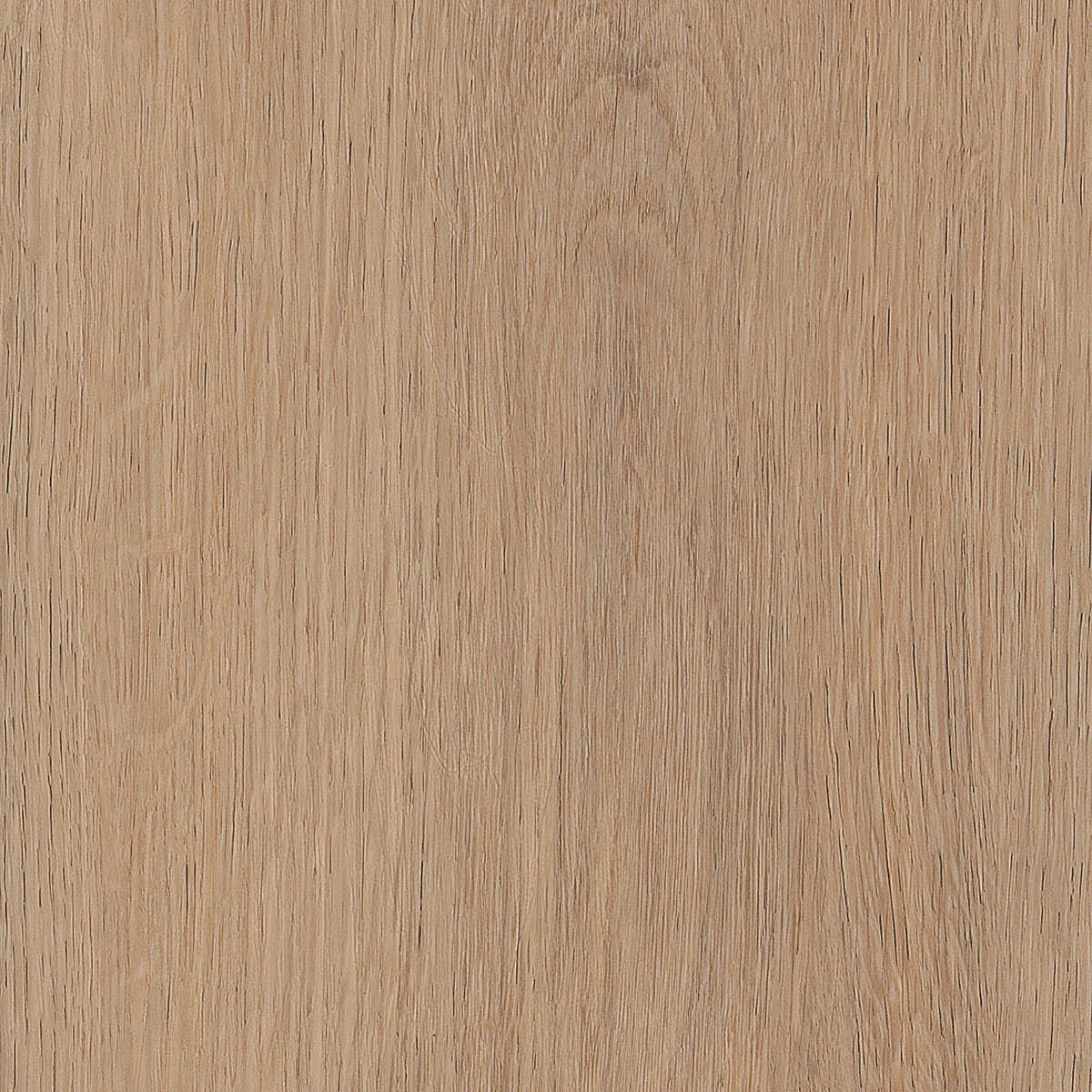Cashmere Oak - Beach