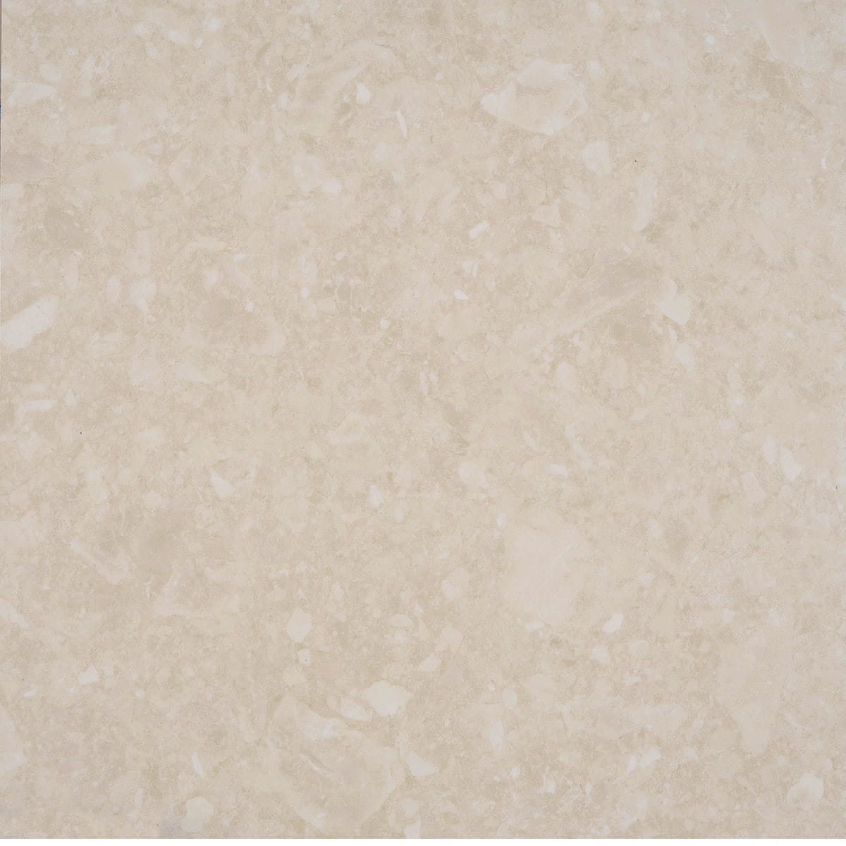 Cosmopolitan - Golden Cream macro shot