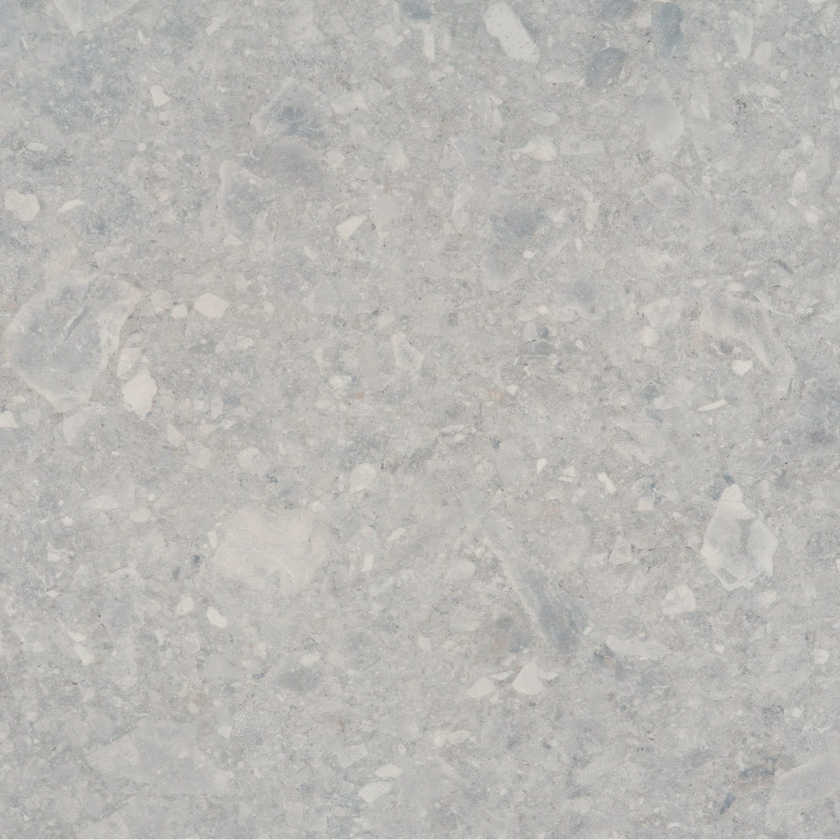 Cosmopolitan - Golden Cream