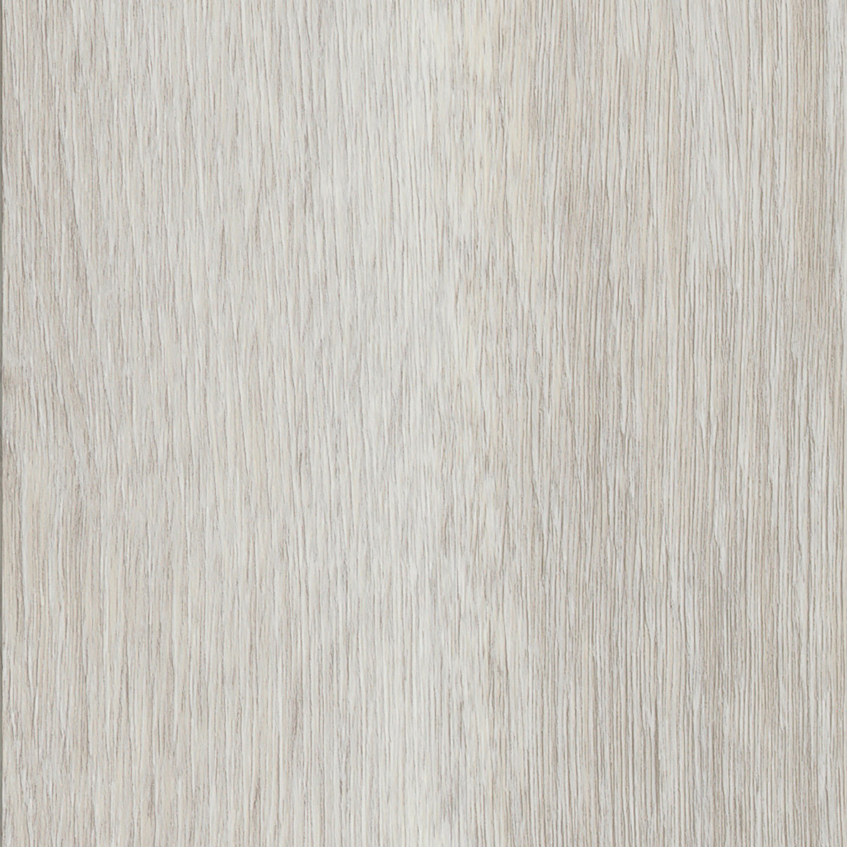 French Oak - Polar macro shot
