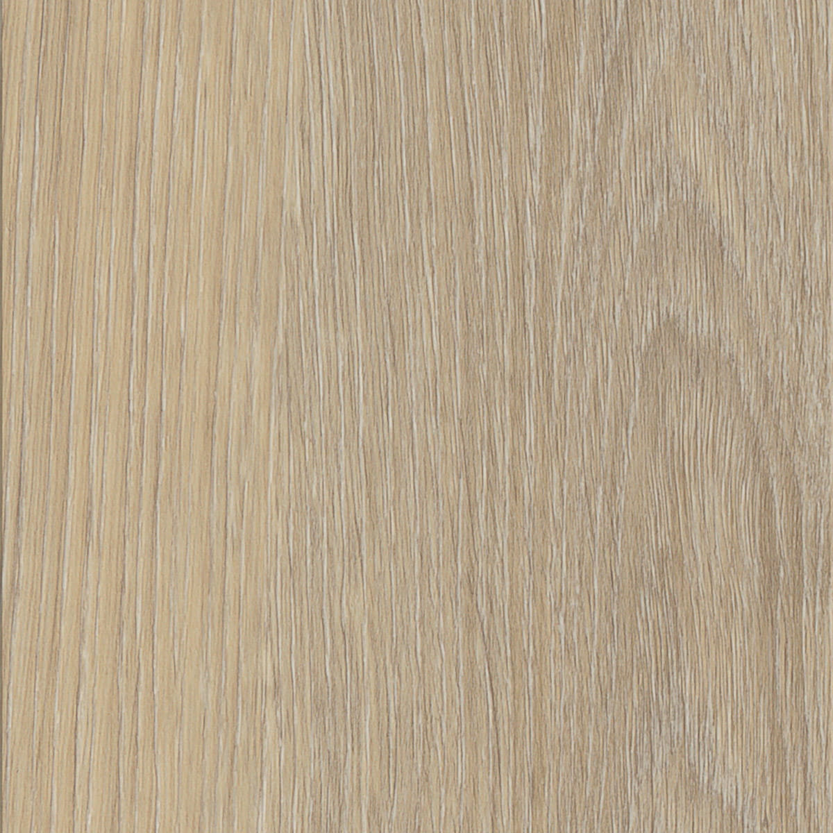 French Oak - Desert macro shot