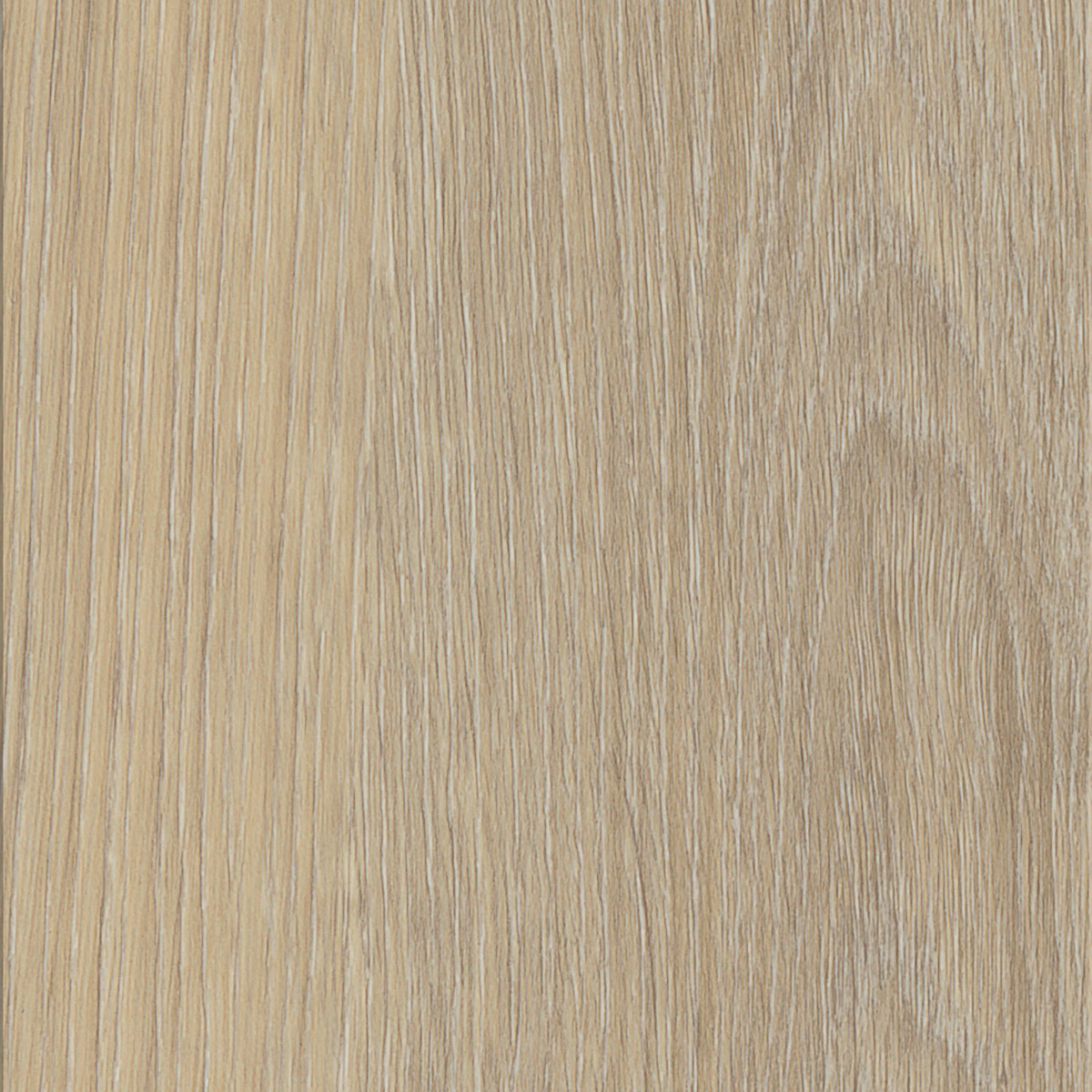 French Oak - Polar