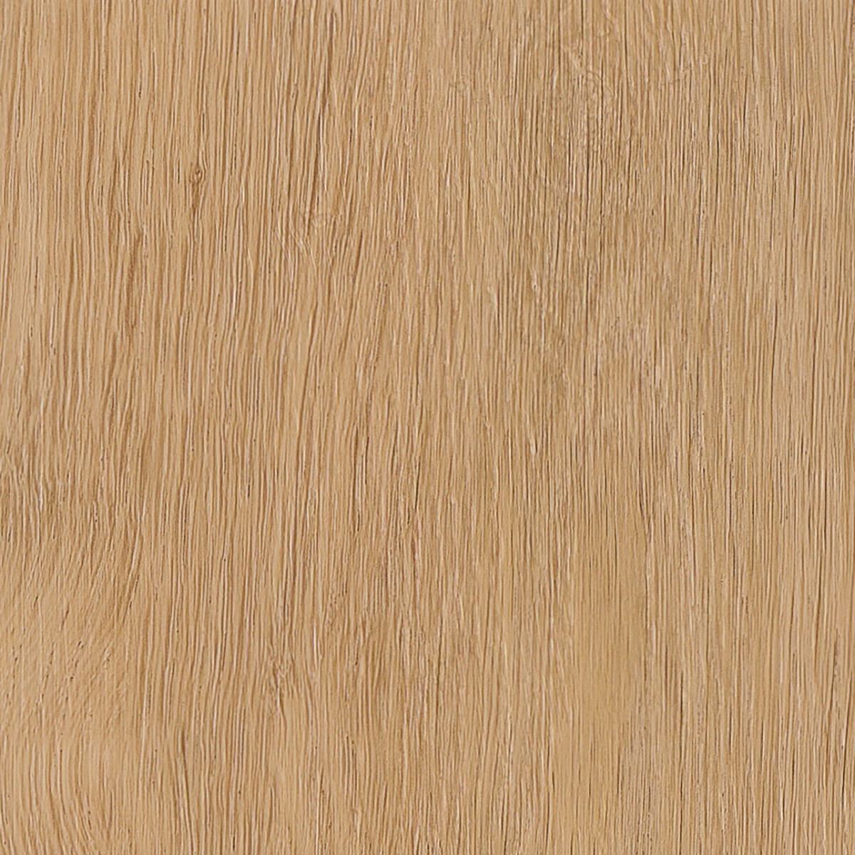 Highland Oak - Classic macro shot