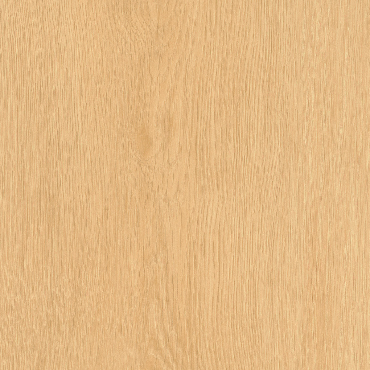 Regency Oak - Bagel