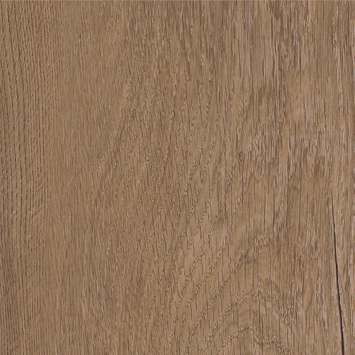 Royal Oak - Traditional