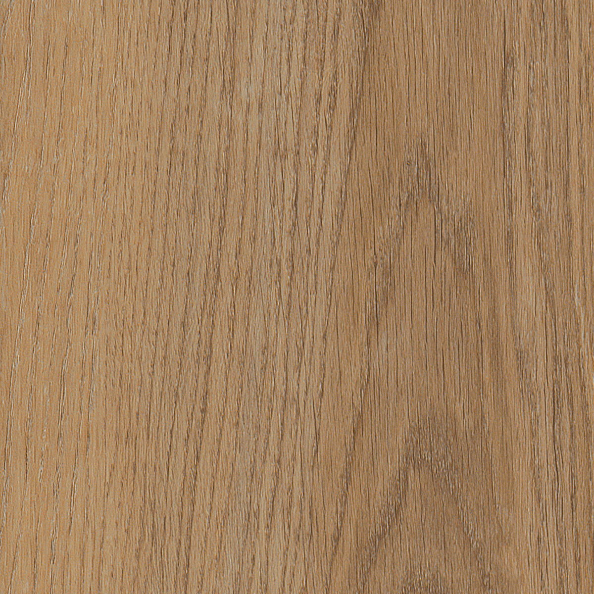Sherwood Oak - Natural macro shot